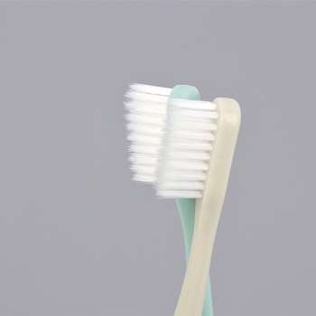 RAOYI R7666 10 τεμάχια χειροκίνητες οδοντόβουρτσες για ενήλικες με μαλακές τρίχες και προστατευτική θήκη