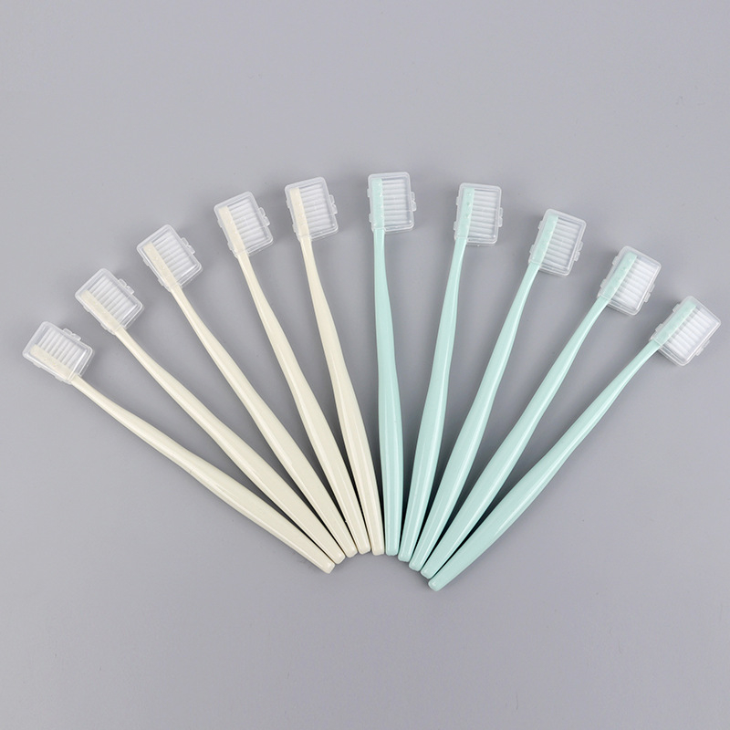 RAOYI R7666 10 τεμάχια χειροκίνητες οδοντόβουρτσες για ενήλικες με μαλακές τρίχες και προστατευτική θήκη