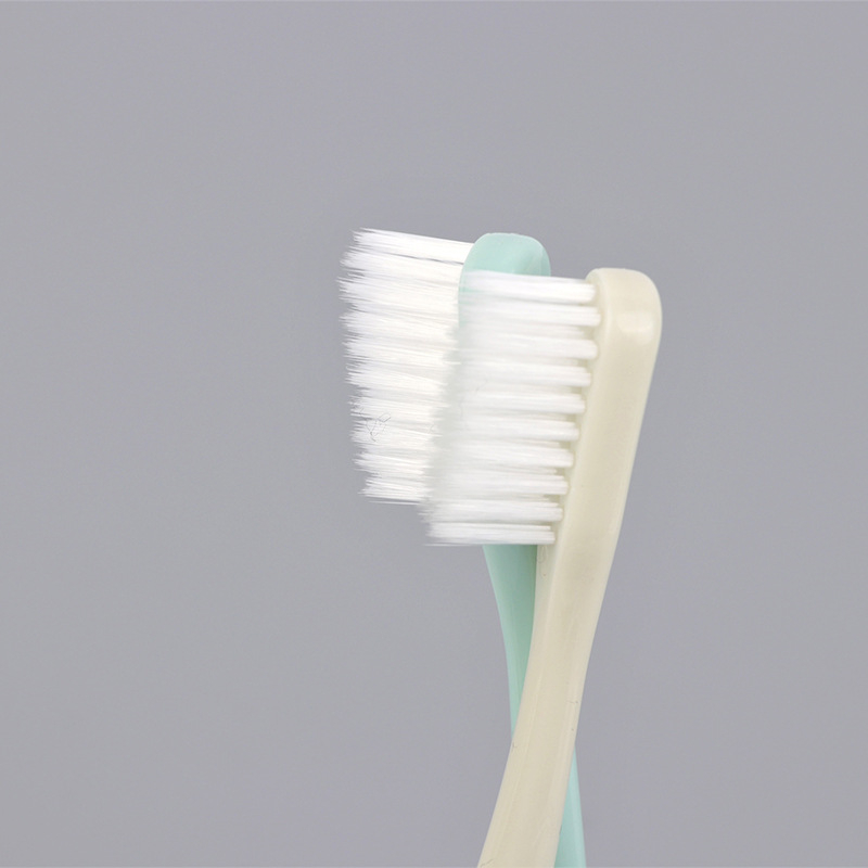 RAOYI R7666 10 τεμάχια χειροκίνητες οδοντόβουρτσες για ενήλικες με μαλακές τρίχες και προστατευτική θήκη