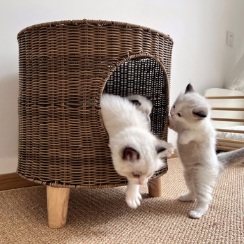 Гнездо за домашни любимци и клетка – Закрита котешка къща, сваляема и миеща се, пластмасова, bebebell