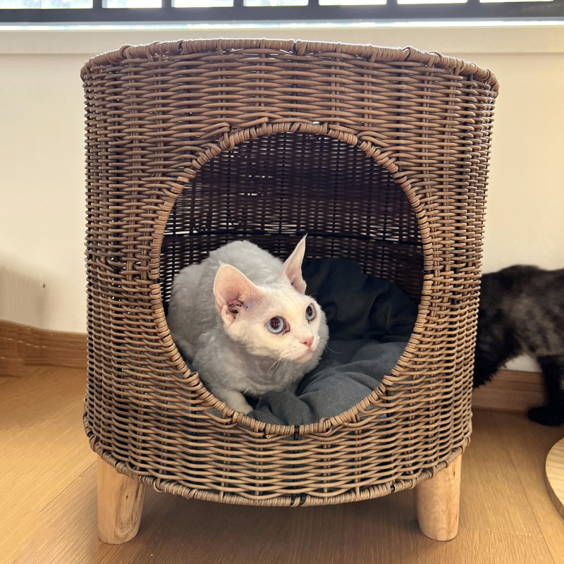 Гнездо за домашни любимци и клетка – Закрита котешка къща, сваляема и миеща се, пластмасова, bebebell