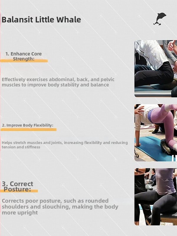 Balansit Little Whale Δυναμικός εκπαιδευτής ισορροπίας για καθιστό πιλάτες, μάρκα Move