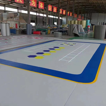 Star King of Fighters Πολυλειτουργικός Ρολό Ματ για Taekwondo, Πολεμικές Τέχνες, Judo και Πάλη - Υλικό: Solid leather XPE; Κατηγορία: Αθλητικό Υπόστρωμα