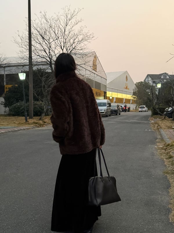 Γυναικείο παλτό από τεχνητό μίνκ βελούρ, κορεάτικο στυλ, στάσιμος γιακά, μακριά μανίκια