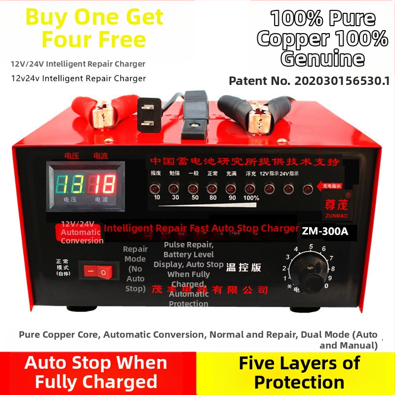 Xinfuxing punjač za automobilsku bateriju 12V/24V, ulaz AC 195-240V