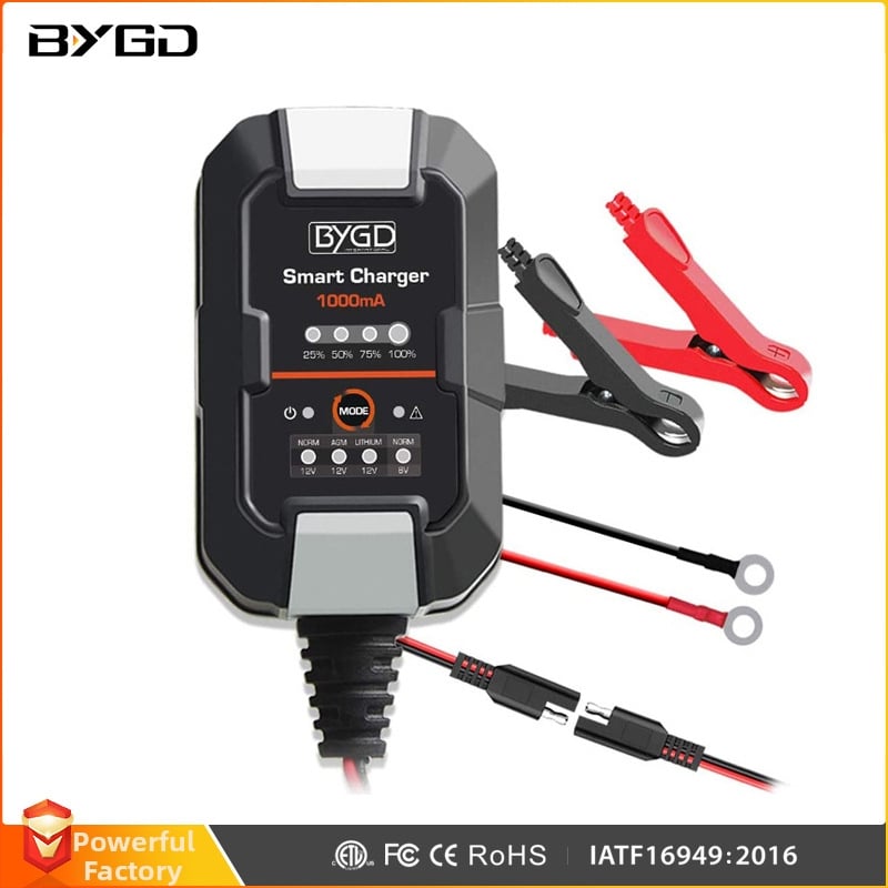 Punjač baterija 110V ulaz, izlaz 6V/12V, 1A struja punjenja, serija F1000, CE/ETL