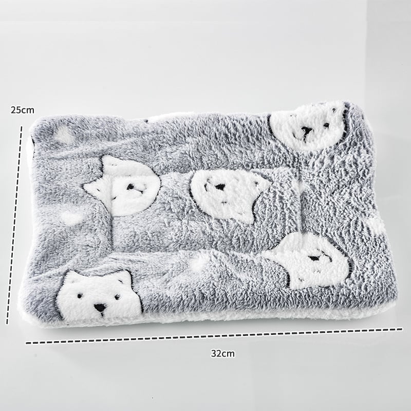 Cuib transparent pentru pisici, din plastic, marca Plastic qianyao, pentru pisici, categorie: cuib/cușcă pentru animale de companie