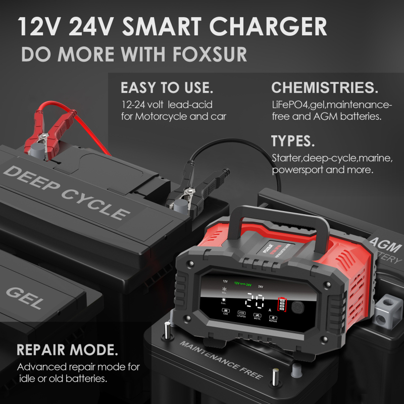 Foxsur FPT-200 Încărcător de baterii pentru 12V/24V, ieșire 12V20A, 24V10A, intrare 100-240V, CE ROHS
