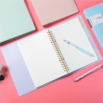 Učenički bilježnica s uklonjivim jezgrom (B5, 60 listova, 26/20 rupa)