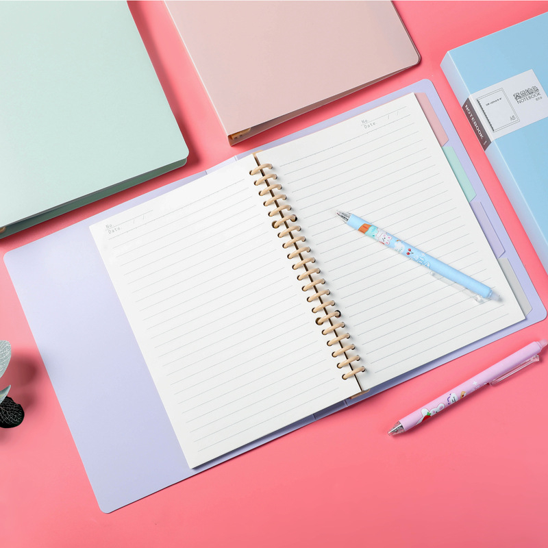 Učenički bilježnica s uklonjivim jezgrom (B5, 60 listova, 26/20 rupa)