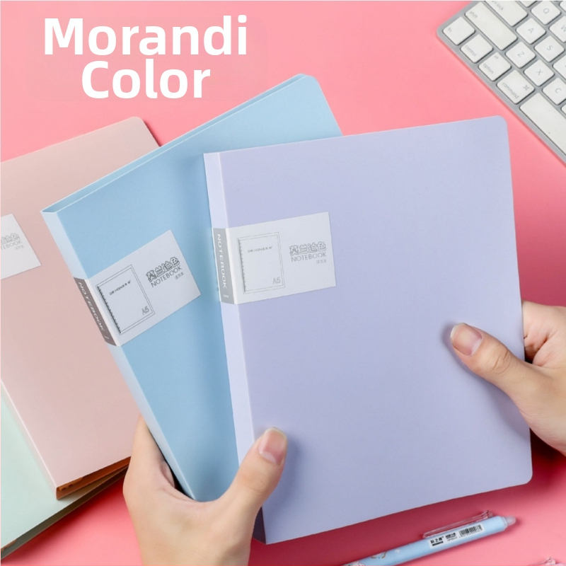 Učenički bilježnica s uklonjivim jezgrom (B5, 60 listova, 26/20 rupa)