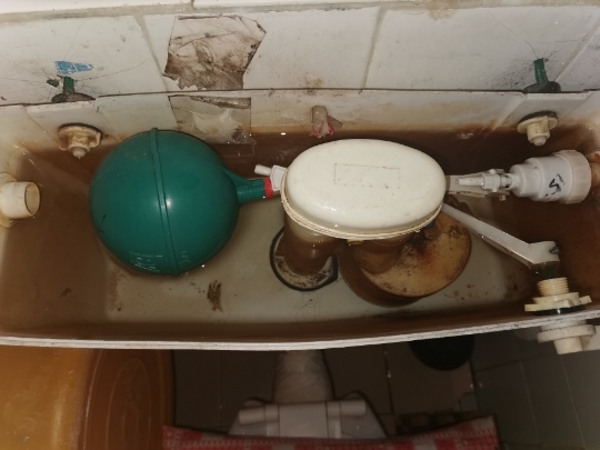 Ventil ulaza spremnika WC – Nehrđajući čelik, SGS potvrda, Model F76S8TSH67M8H9, Za ispiranje, Kineski stil