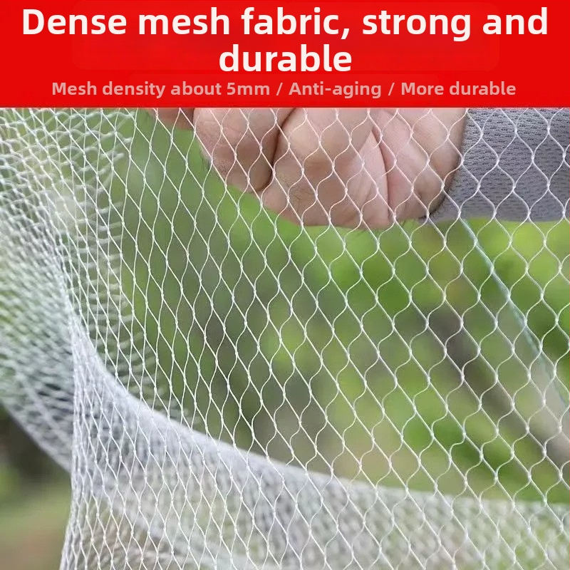 Plasă pliabilă pentru pescuit creve, raci și pești – pentru exterior, nylon, origine China