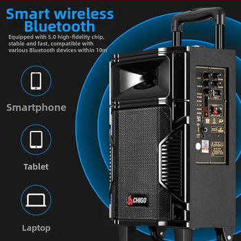 Chigo Bluetooth karaoke reproduktor – veľký objem, drevená skrinka, prenosný vonkajší reproduktor na square dance, 20W, na domáce použitie