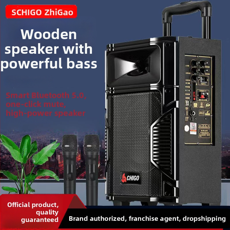 Chigo Bluetooth karaoke reproduktor – veľký objem, drevená skrinka, prenosný vonkajší reproduktor na square dance, 20W, na domáce použitie