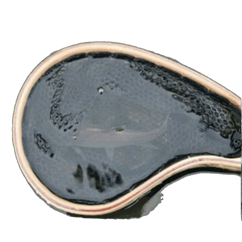 Hordozható halszemháló kis halakhoz, finom szemmel — karbon anyag, alkalmas folyó- és fly fishingre