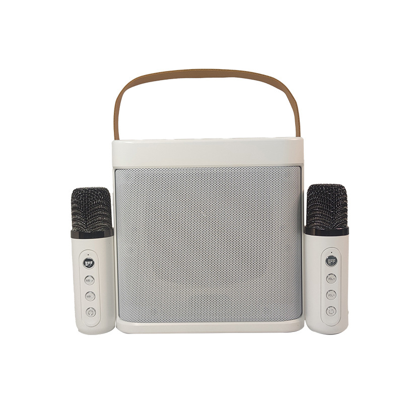 Prijenosni vanjski Bluetooth karaoke zvučnik s ugrađenom baterijom – Bluetooth 5.3, 10W izlaz, baterija 2000–4000 mAh, raspon 100Hz–20kHz, domet 10m