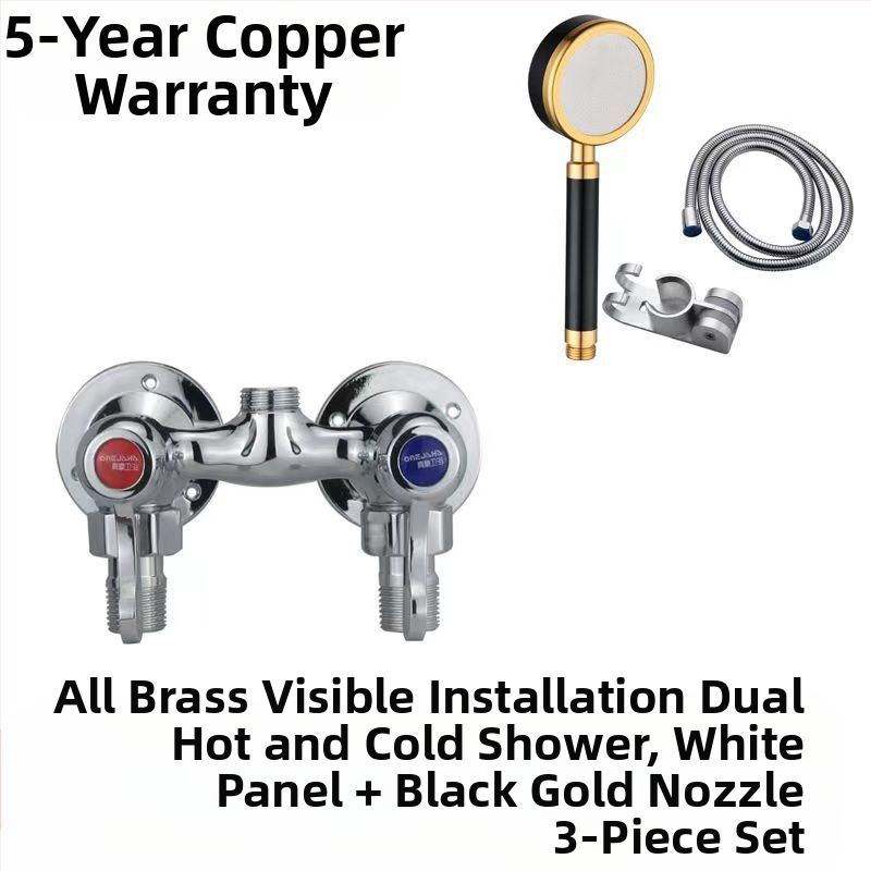 Sprchový miešadlo z celého medi, dvojité ovládanie, nástenná montáž, model 100022, moderný minimalistický štýl