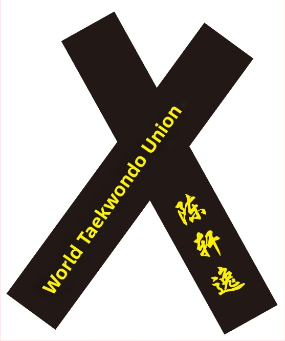 Centură Taekwondo pentru adulți cu nume brodat și gravură – țesătură din bumbac 85% cu căptușeală din amestec de in 85% – potrivită pentru Taekwondo