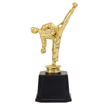 Trofeu din plastic pentru Taekwondo – logo personalizabil, greutate netă 0,3 kg, potrivit pentru premii și decorațiuni