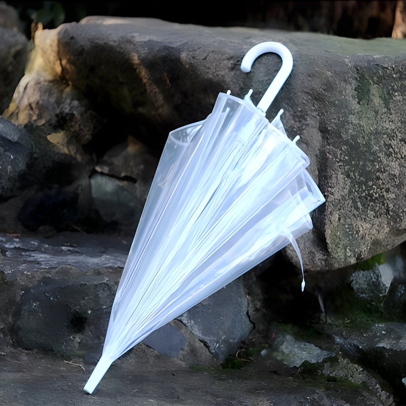 Ομπρέλα Απόλλων με 8 ακτίνες, αυτόματη λειτουργία ανοίγματος, διαφανής κουκούλα, σιδερένιος άξονας, σχέδιο σχήματος κλουβιού για πουλιά