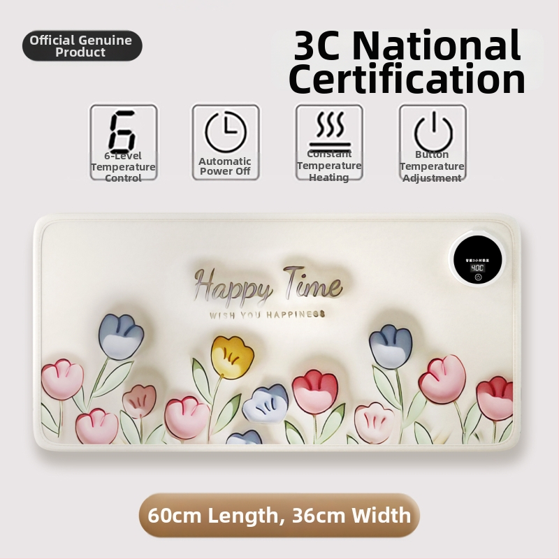 USB vykurovacie vložky do topánok – pravá koža, papuče/domáce topánky, pre mužov