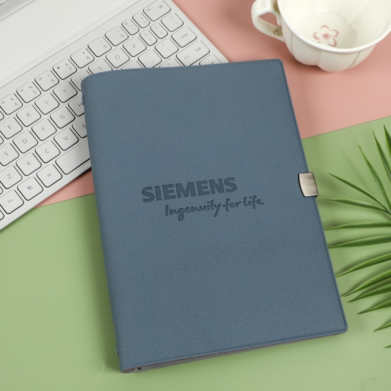 Caiet premium cu foi detașabile pentru birou, model DE-250429, hârtie Dowling, 100 foi, găuri de 6