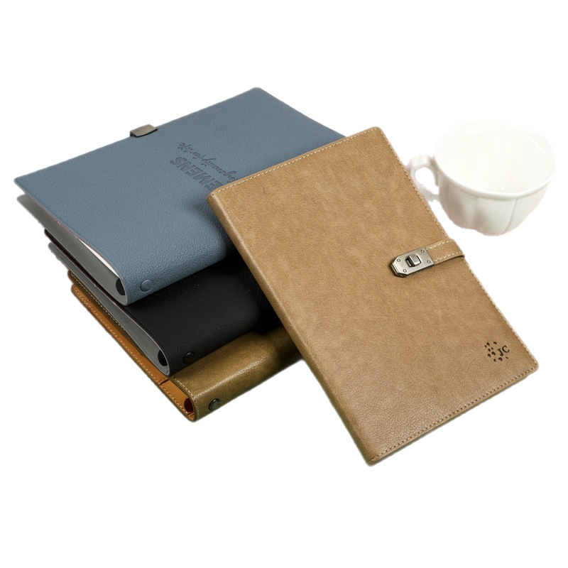 Caiet premium cu foi detașabile pentru birou, model DE-250429, hârtie Dowling, 100 foi, găuri de 6