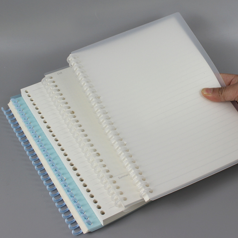 Caiet cu nucleu pentru foi detașabile, bandă groasă cu două fețe, 60 de file, compatibilitate găuri 20/26/30, pagini interioare din hârtie