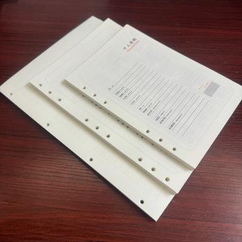 Refill pentru caiet cu foi detașabile — 6 găuri A5 80 g, 9 găuri B5 100 g, 4 găuri A4 — hârtie bej Dalin, 100 foi, opțiune de personalizare