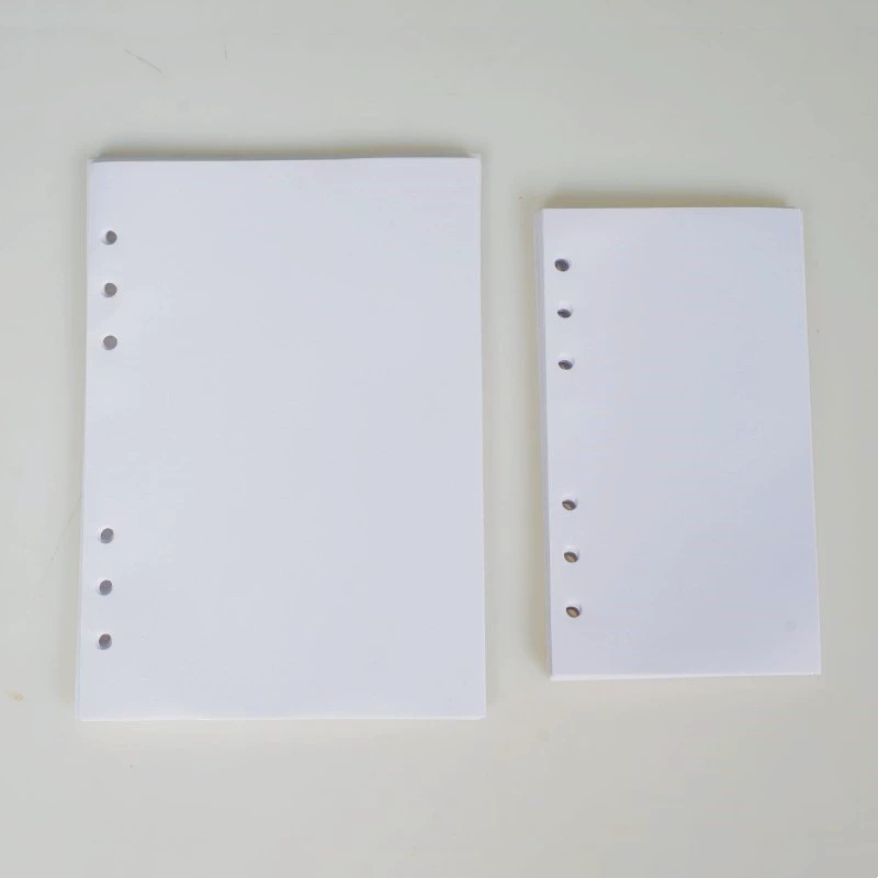 Bilježnica Lx-01 s dvostrukim release-paper unutarnjim stranicama, 40 listova, 6 rupa, prilagodljivo