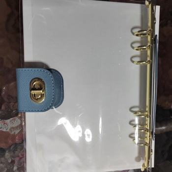 Spremnik za štednju s 100 Sakura omotnica, laminirane stranice za praćenje, unaprijed numerirani džepovi, PVC unutarnje stranice, prilagodljivo