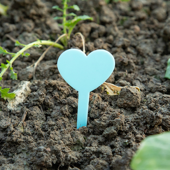 Ετικέτες φυτών/Εισαγωγές - 1135 Πολυαιθυλένιο/PP - Σημάδια κήπου για παχύφυτα - Independent