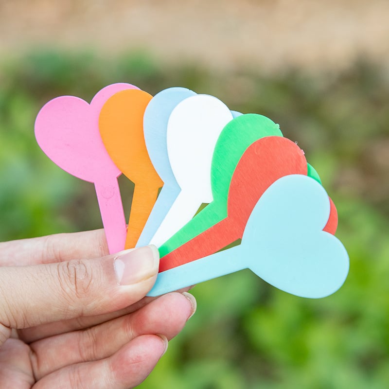 Ετικέτες φυτών/Εισαγωγές - 1135 Πολυαιθυλένιο/PP - Σημάδια κήπου για παχύφυτα - Independent