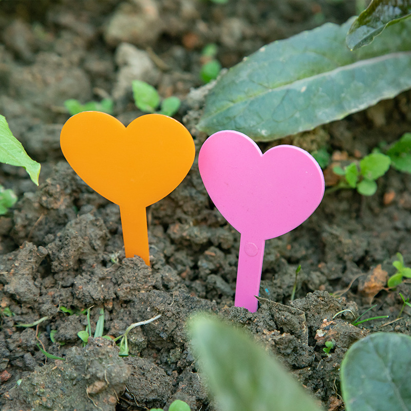 Ετικέτες φυτών/Εισαγωγές - 1135 Πολυαιθυλένιο/PP - Σημάδια κήπου για παχύφυτα - Independent