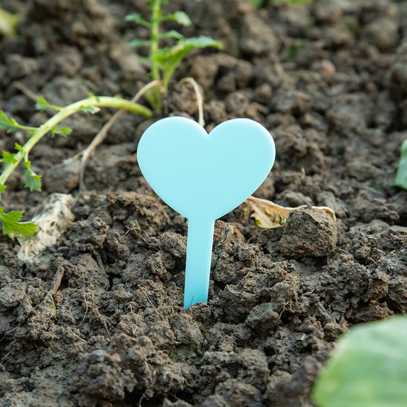 Ετικέτες φυτών/Εισαγωγές - 1135 Πολυαιθυλένιο/PP - Σημάδια κήπου για παχύφυτα - Independent