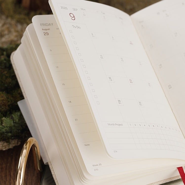 Σημειωματάριο με ημερήσιο πρόγραμμα ανά σελίδα για το 2025 — ημερολόγιο καθημερινής χρήσης, περίπου 400–500 σελίδες