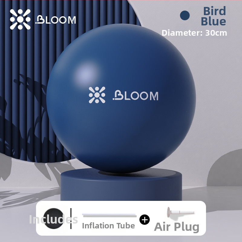 ABS joga lopta, zosilnená, proti prasknutiu, na formovanie bokov a posilnenie panvového dna – Pilates lopta