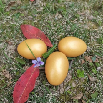 Drvene uskrsne jaja za igru — bojano drvene jaje za djecu 4–6 godina, potiču emocionalni razvoj, vid, kognitivne vještine i finu motoriku