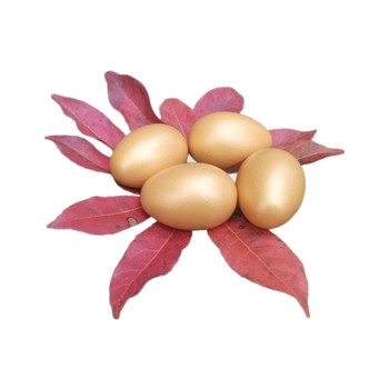 Drvene uskrsne jaja za igru — bojano drvene jaje za djecu 4–6 godina, potiču emocionalni razvoj, vid, kognitivne vještine i finu motoriku