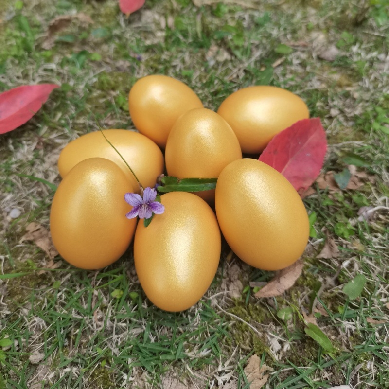 Drvene uskrsne jaja za igru — bojano drvene jaje za djecu 4–6 godina, potiču emocionalni razvoj, vid, kognitivne vještine i finu motoriku