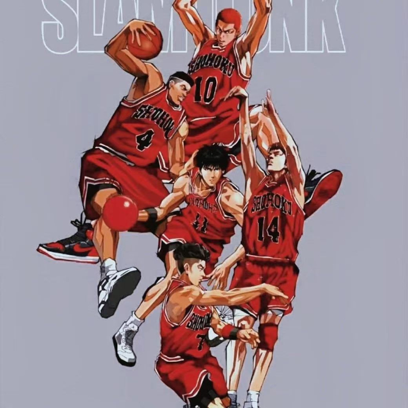 Slam Dunk košarkaški dres, unisex, kratkih rukava, broj 11 i broj 10, poliesterska smjesa