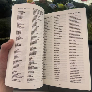 Bilježnica s klasičnim rap tekstovima, oko 400 pjesama, tiskano izdanje, s odvojivim listovima, 90 g papir, 100–200 stranica, nostalgičan retro stil