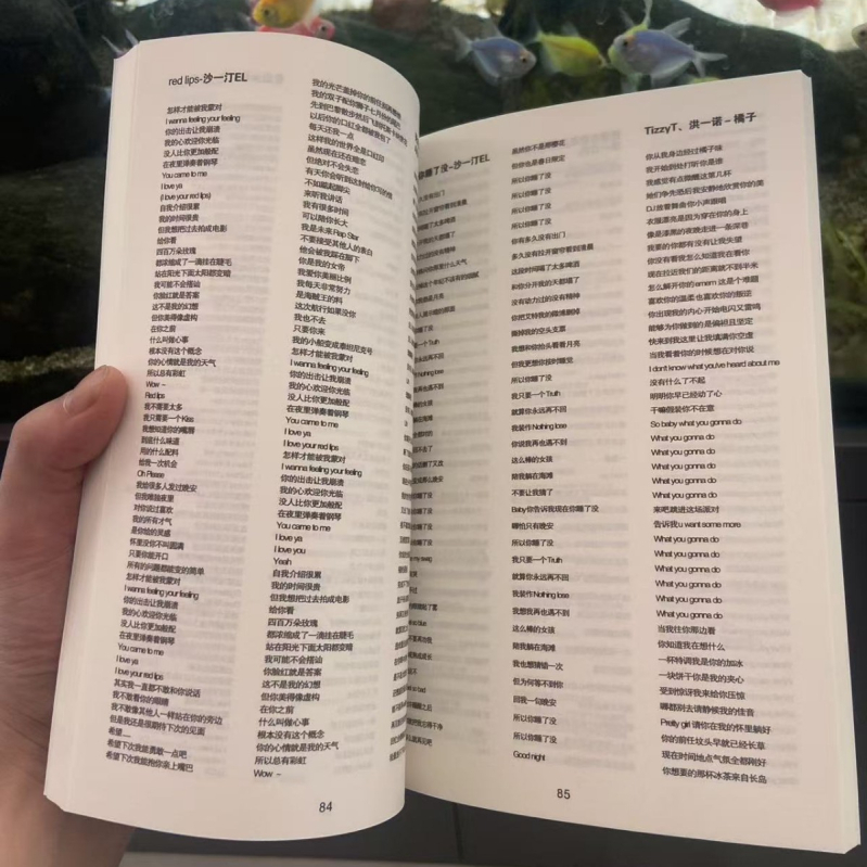 Bilježnica s klasičnim rap tekstovima, oko 400 pjesama, tiskano izdanje, s odvojivim listovima, 90 g papir, 100–200 stranica, nostalgičan retro stil