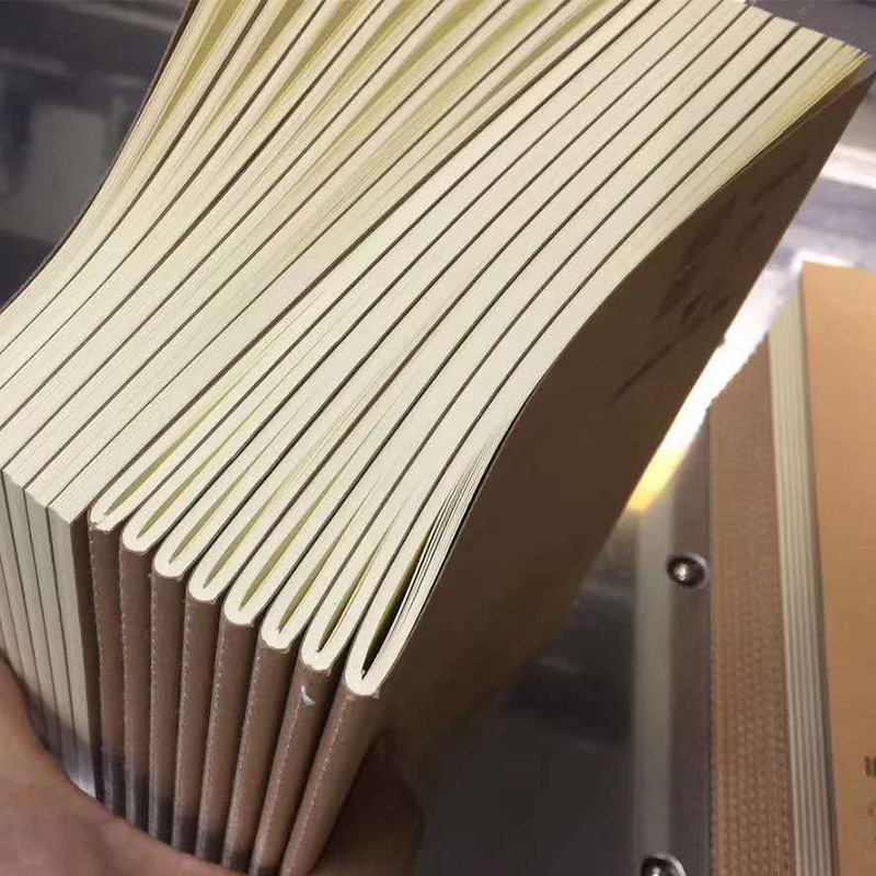 Linebook 01 Notebook cu legare prin adeziv, copertă din hârtie, hârtie interioară specială, 50–100 pagini