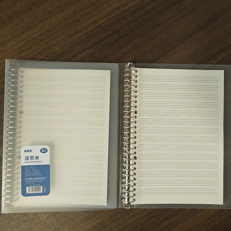Prozirni Matirani Binder za Bilješke sa 60 Stranica, 26 Rupa