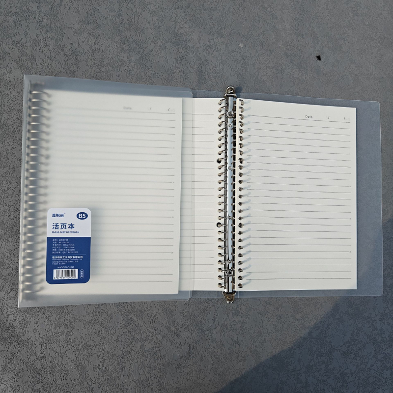 Prozirni Matirani Binder za Bilješke sa 60 Stranica, 26 Rupa