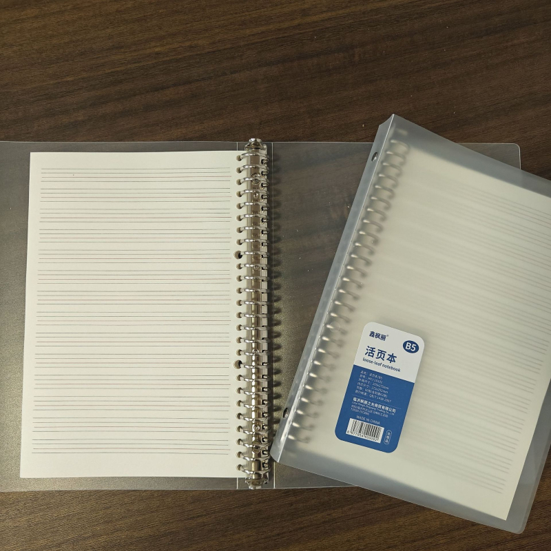 Prozirni Matirani Binder za Bilješke sa 60 Stranica, 26 Rupa