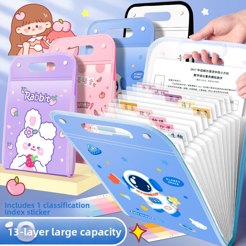 Kaba Bear KBX-7049 Prenosný organizátor súborov pre študentov, plast, 12 priečok, na uloženie testových dokumentov