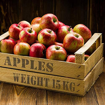 12 féle PET sablon szám- és betűkarakterekhez – lyukasztott mintázatú készlet DIY illusztrációkhoz és dörzsöléses nyomtatáshoz